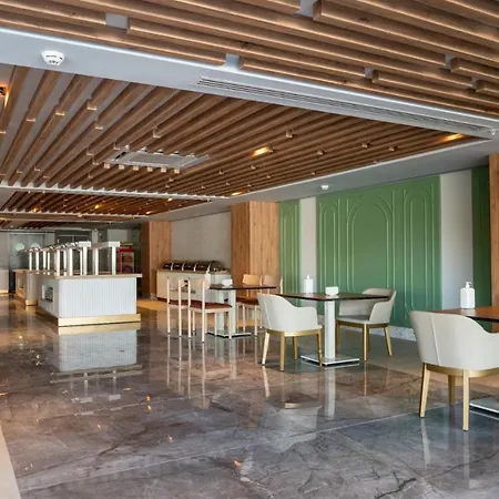 Square (adults Only)