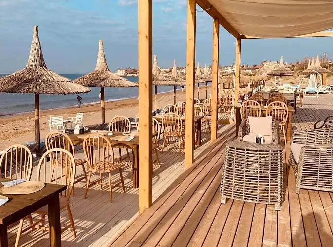 Square (adults Only)